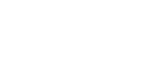 Santoni logo